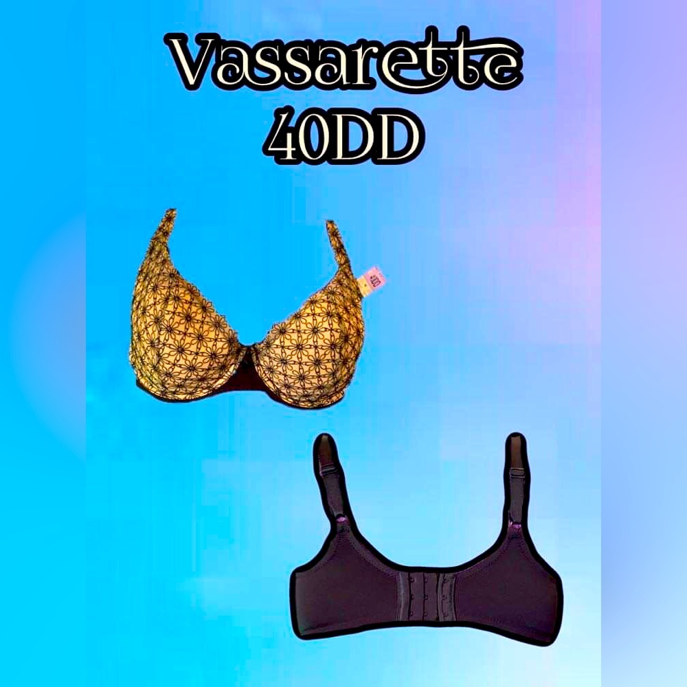40DD Bra